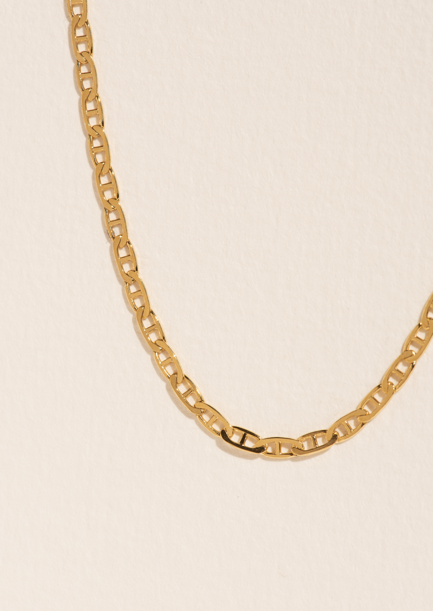 Signature D Link Necklace